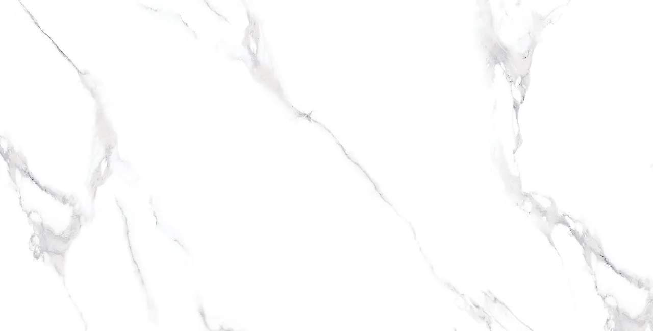 Керамогранит Carrara Bianco 5020 mat 60*120