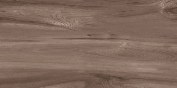 Керамогранит Oak Wood Natural matt 60*120