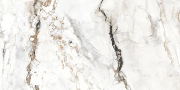 Керамогранит Paonazzo Glister 60*120