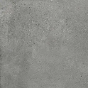 Керамогранит Aspen grey matt 60*60