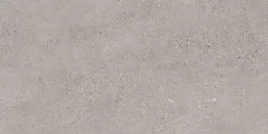 Керамогранит Stonex Grey Matt 60*120 