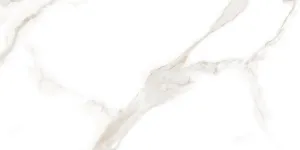 Керамогранит Statuario Vivian Matt 60*120