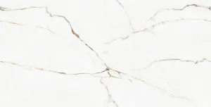 Керамогранит Endless Calcatta Montreal Glossy 60*120 