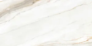 Керамогранит Magnetic Gold Carving 60*120