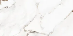 Керамогранит Royal Statuario Matt 60*120