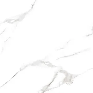 Керамогранит 5020 glossy 60*60