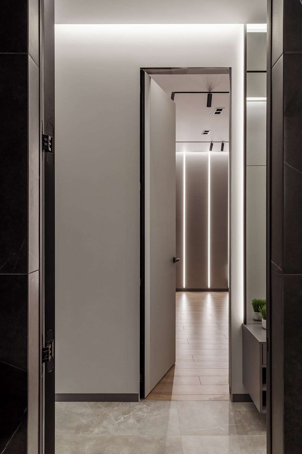 Проект Ксении Костарной