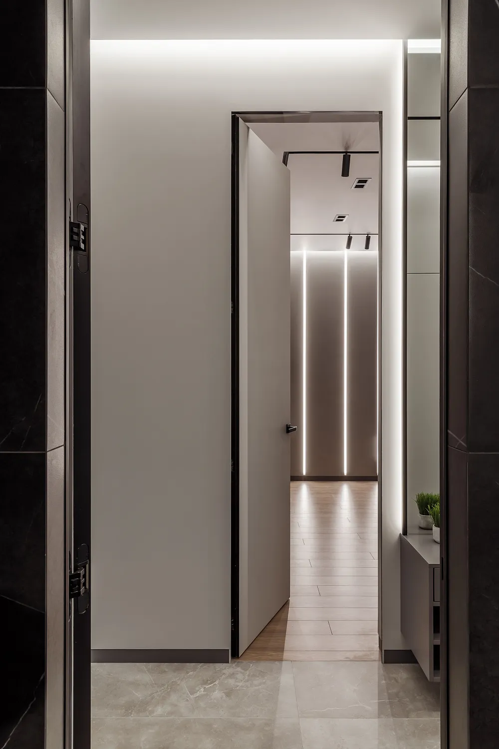 Проект Ксении Костарной