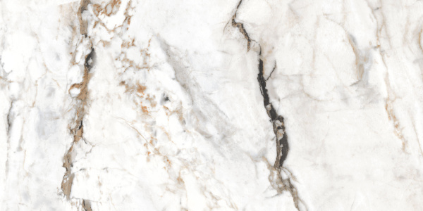 Керамогранит Paonazzo Glister 60*120