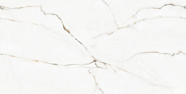 Керамогранит Endless Calcatta Montreal Glossy 60*120 